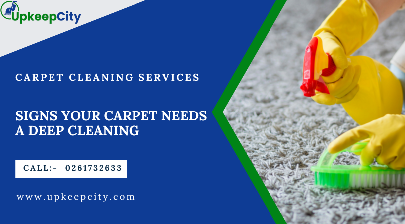 carpet Cleaning Service-Upkeepcity