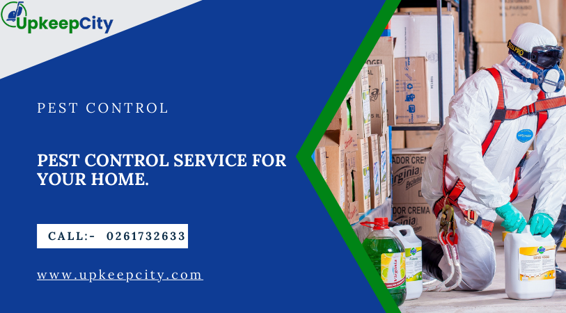 a professional male doing pest control service in house with all equipment's and materials