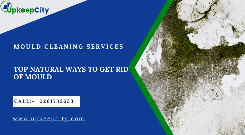 Natural Ways to Get Rid of Mould