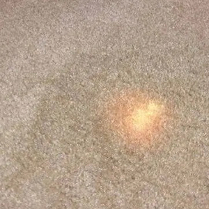 Carpet stain repair