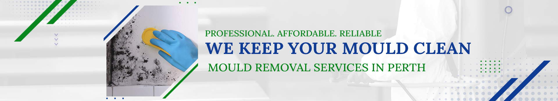 Mould Removal services in Perth