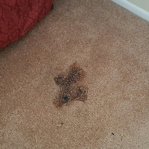 Carpet Burnt Repair Services Melbourne