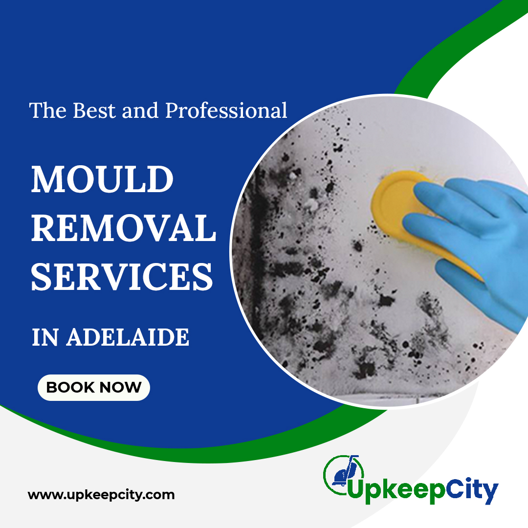 Mould Removal Adelaide