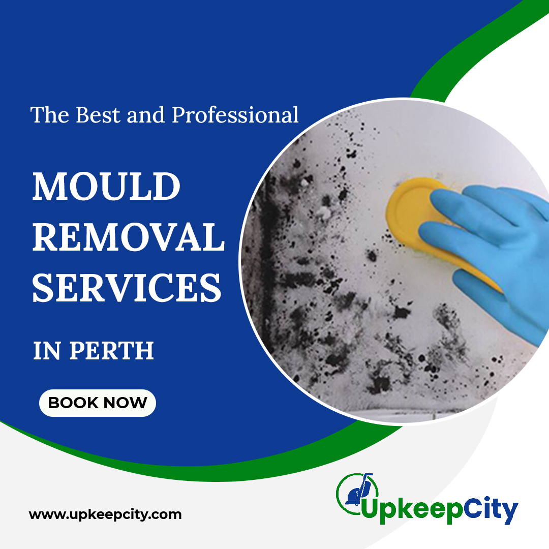 Mould Removal Perth