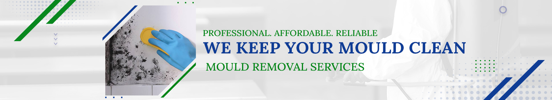 Mould Removal services