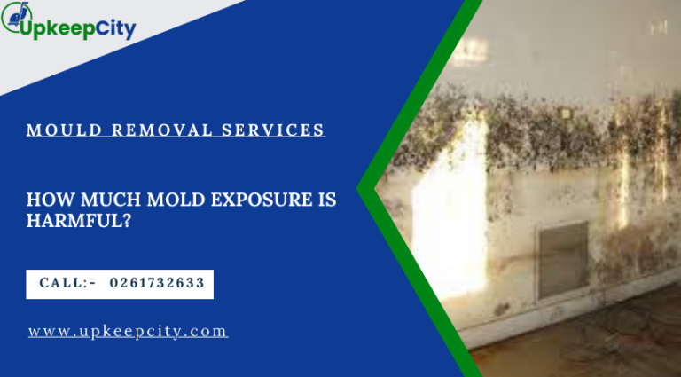 how-much-mold-exposure-is-harmful-upkeepcity