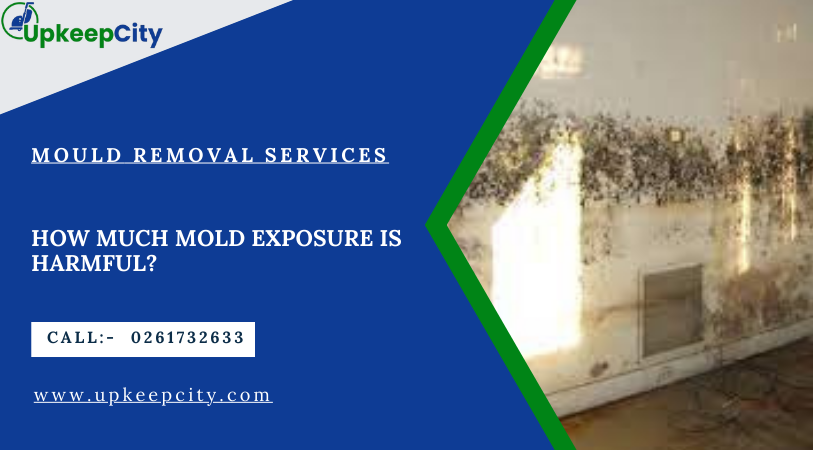 mold exposure upkeepcity.com