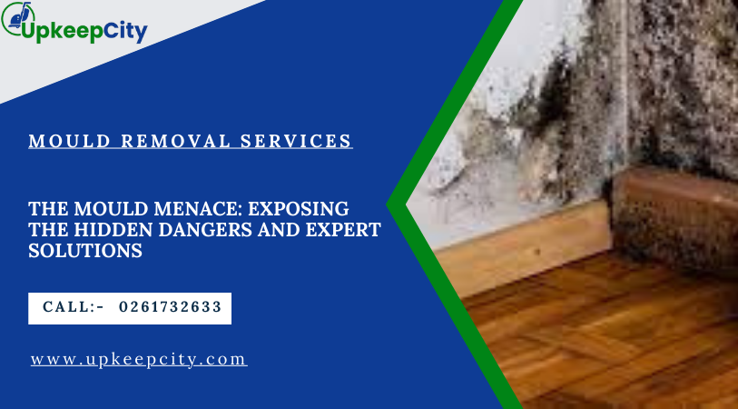 mould danger and removal by upkeepcity.com