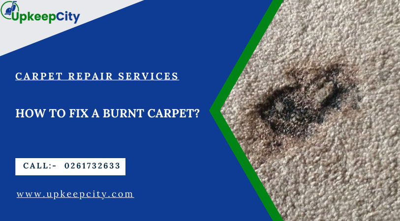 carpet-repair-services-melbourneupkeecity.com