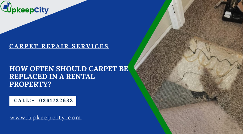 how often should carpet be replaced in a rental property?