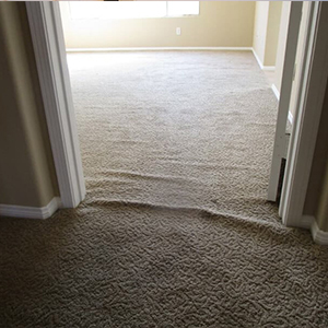 carpet wrinkle