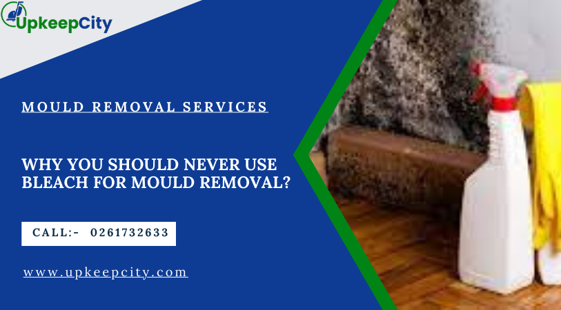 mould-removal-services-sydneyupkeecity.com