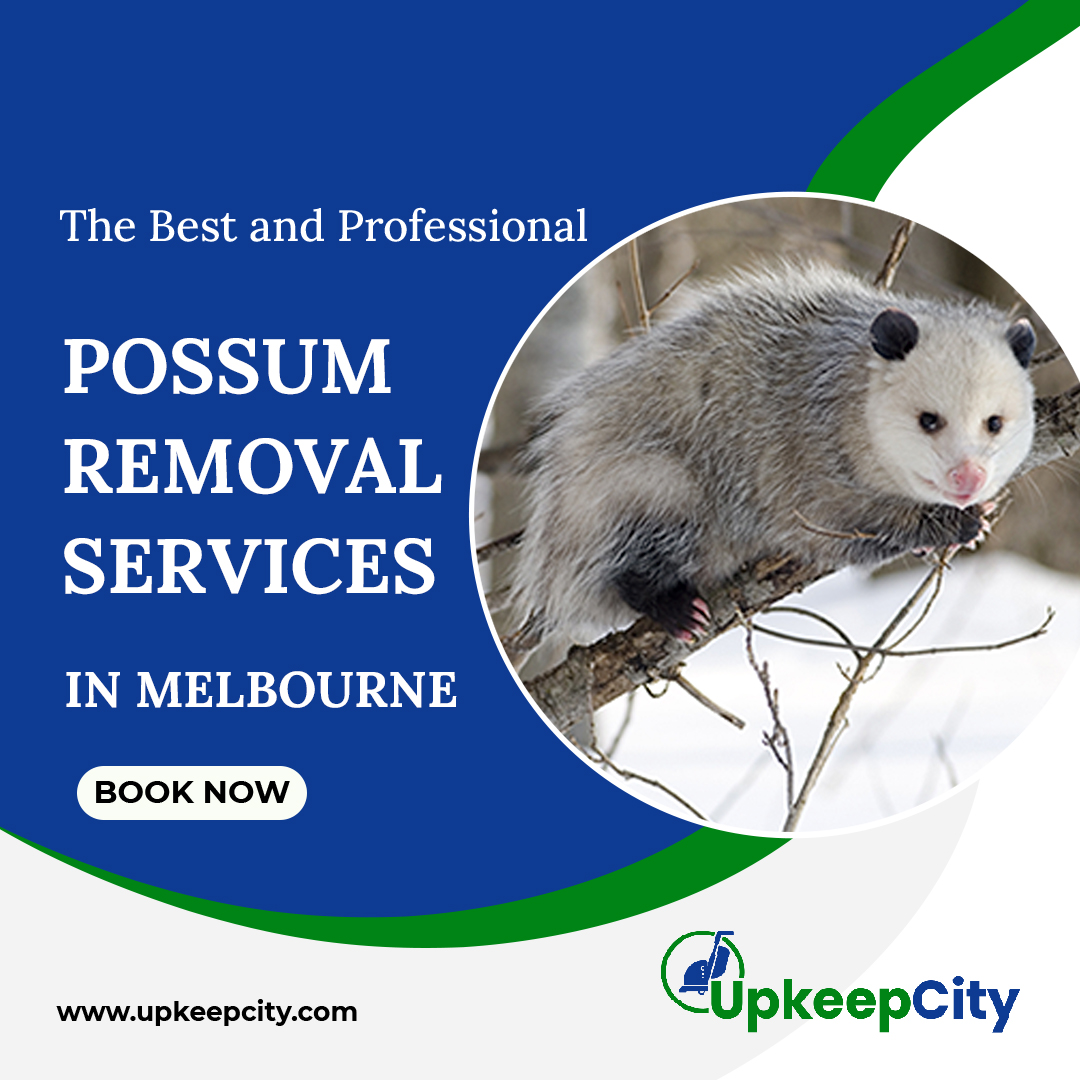 possum removal melbourne
