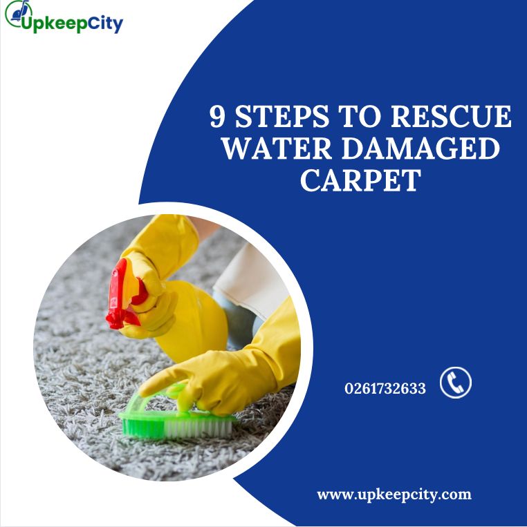 9 Steps to Rescue Water Damaged Carpet