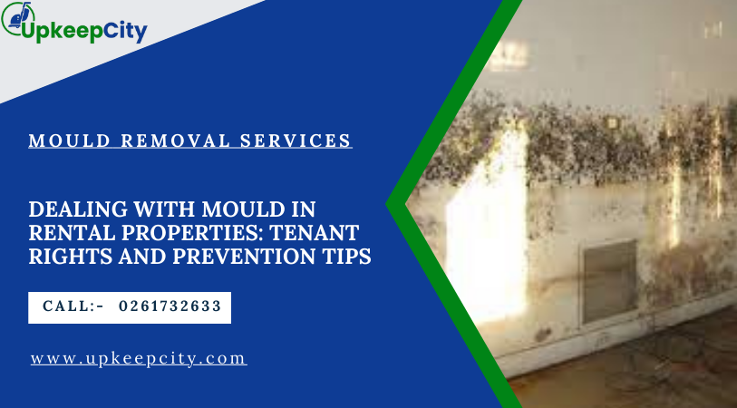 Dealing with Mould in Rental Properties: Tenant Rights and Prevention Tips.