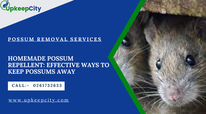 Homemade Possum Repellent: Effective Ways to Keep Possums Away