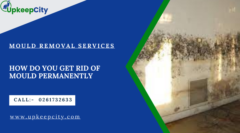 How do you get rid of mould permanently
