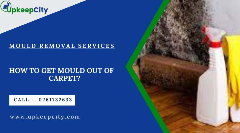 HOW TO GET MOULD OUT OF CARPET