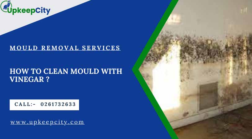 How to clean mould with vinegar