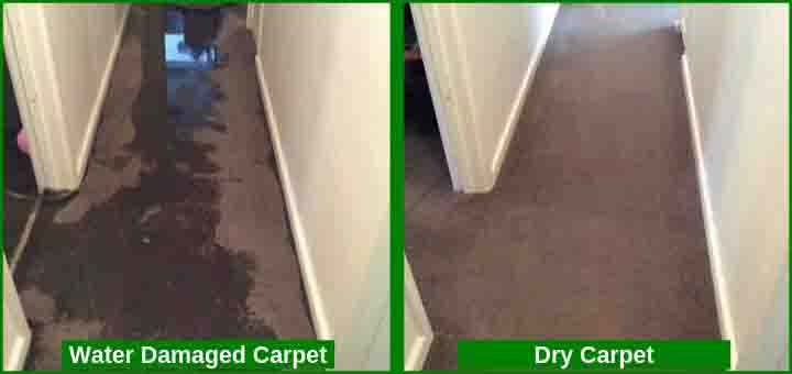 water damaged carpet cleaning