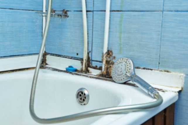Bathroom Mould removal in sydney