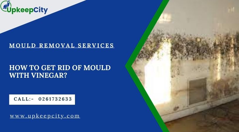 How To Get Rid Of Mould With Vinegar?