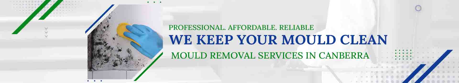 banner of mould removal service in canberra