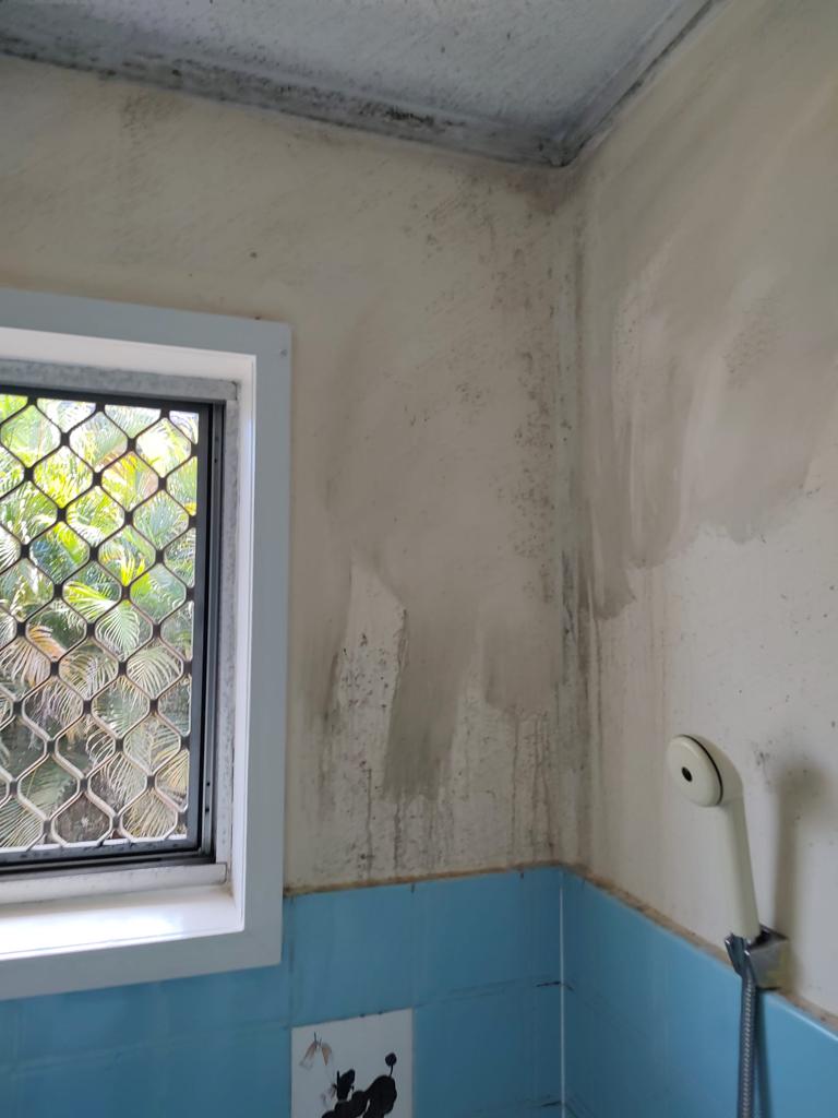 Wall Mould Removal Sydney