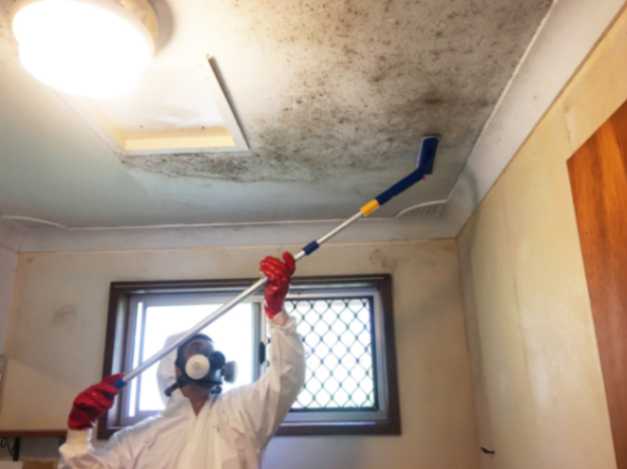 ceiling mould removal sydney